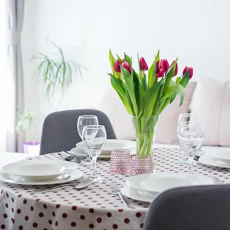 Apartment Lelas